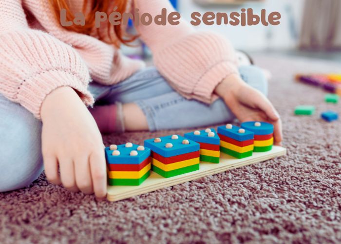 principes de la méthode montessori la période sensible